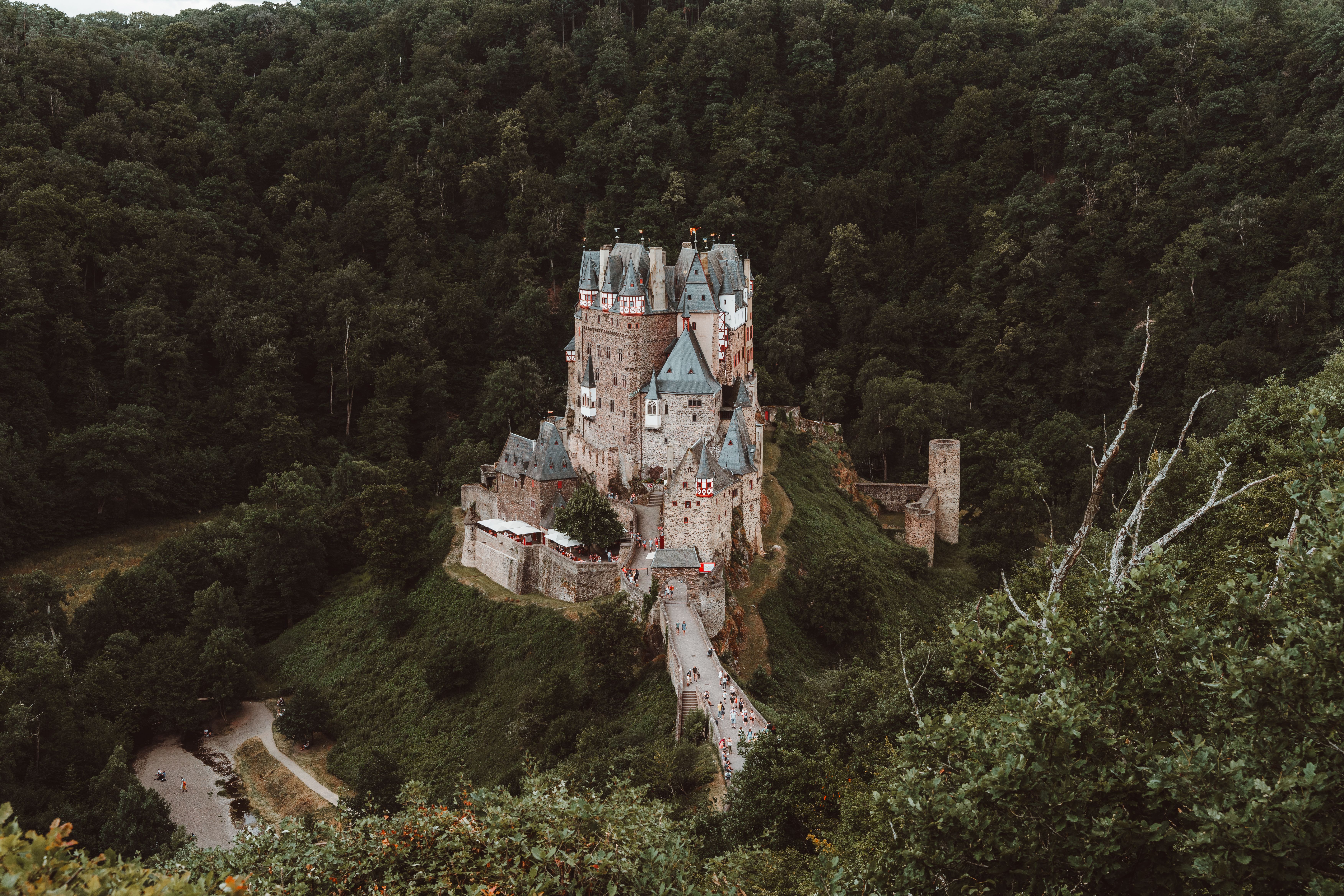 pexels photo 19197533 19197533